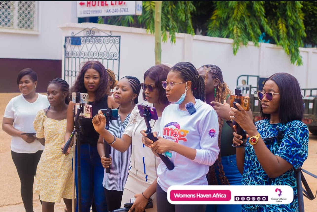 Ghana Remote and Online Working Project, Digital Skills Project - Image 3