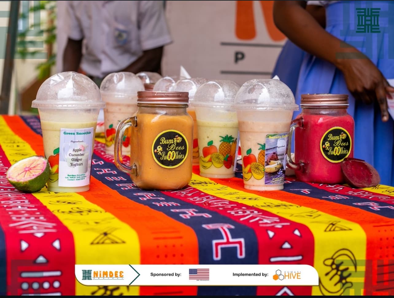 NIMDE3 Project – Youth Entrepreneurship & Sustainable Business